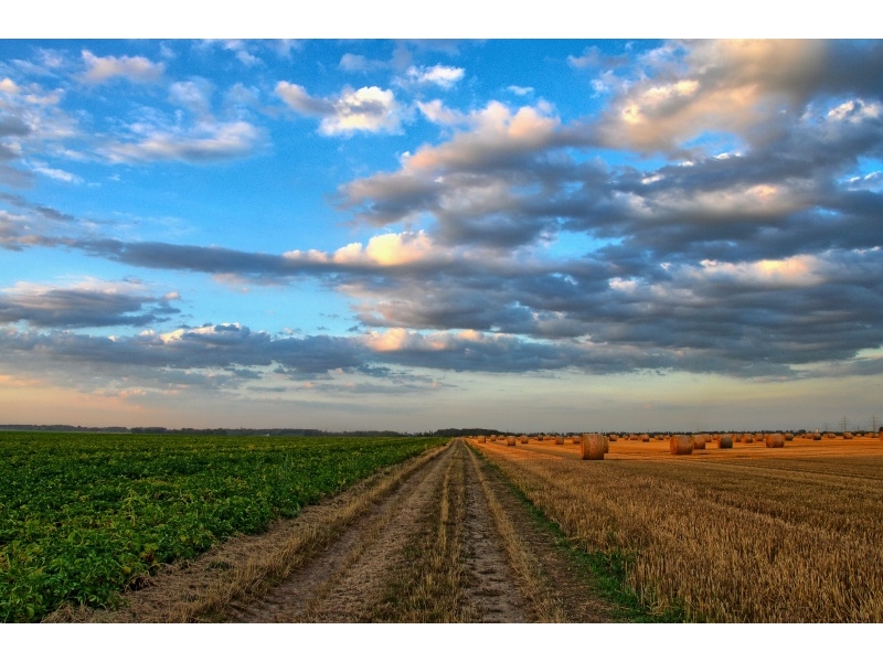 Regim special al TVA pentru micii agricultori din 2017