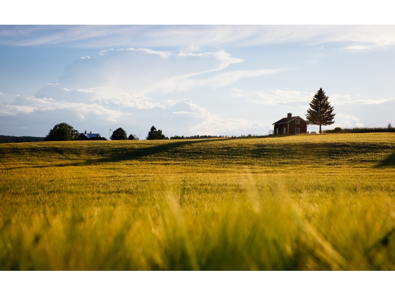 Agentia de Plati si Interventie pentru Agricultura, plati de peste 25 milioane euro