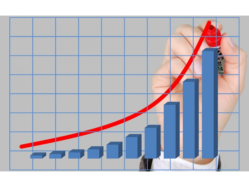 Cifra de afaceri din serviciile de piata a crescut cu 13%