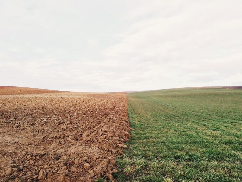 Vesti bune pentru agricultorii romani: vor primii in avans banii daca au depus Cereri unice de plata in anul 2021