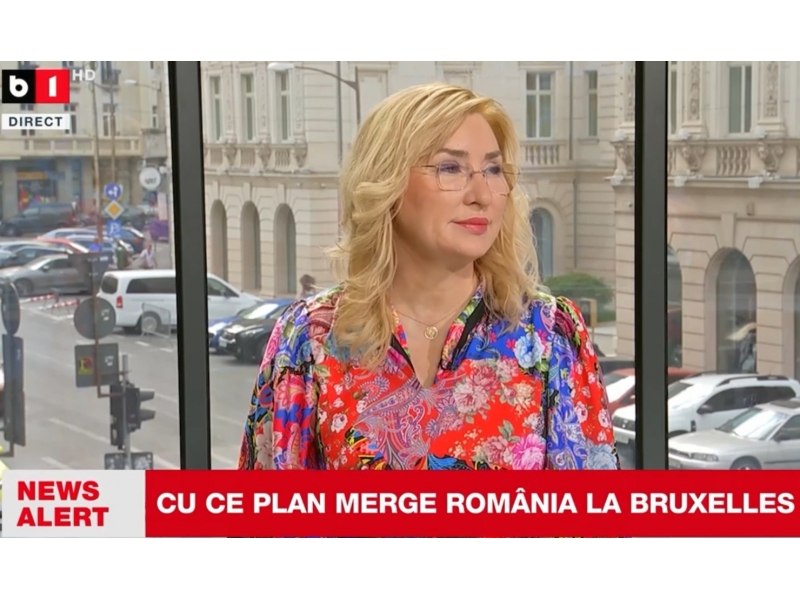Romania merge la Consiliul ECOFIN fara plan fiscal: „Avem idei, dar nu avem o strategie” – avertismentul Veronicai Dutu